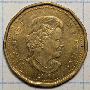 2005 loonie - Terry Fox