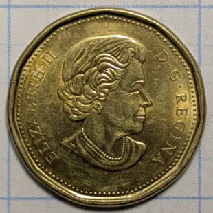 2019 loonie - Lgbt Equality