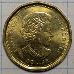 2020 loonie - Un Charter