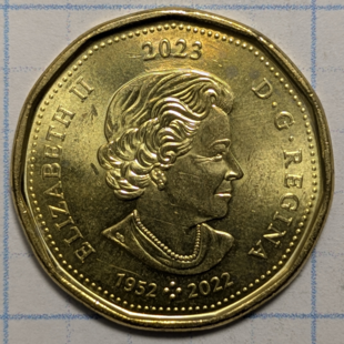 2023 loonie - Elsie Macgill