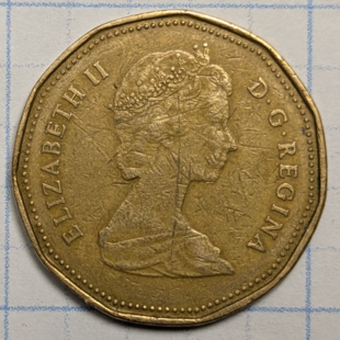 1989 loonie -