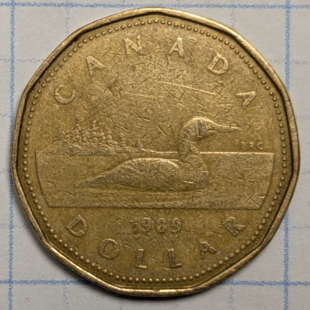 1989 loonie -