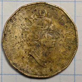 1990 loonie -