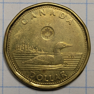2013 loonie -